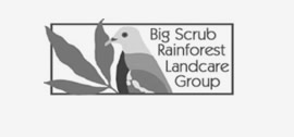 big-scrub